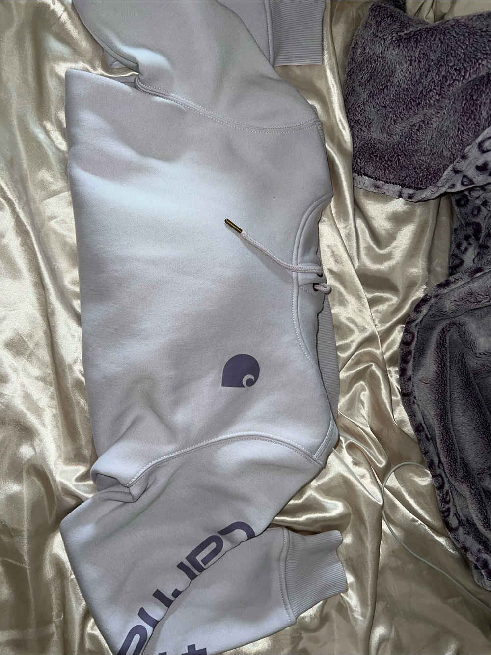 Carhartt Hoodie with Purple Logo and Sleeve Text